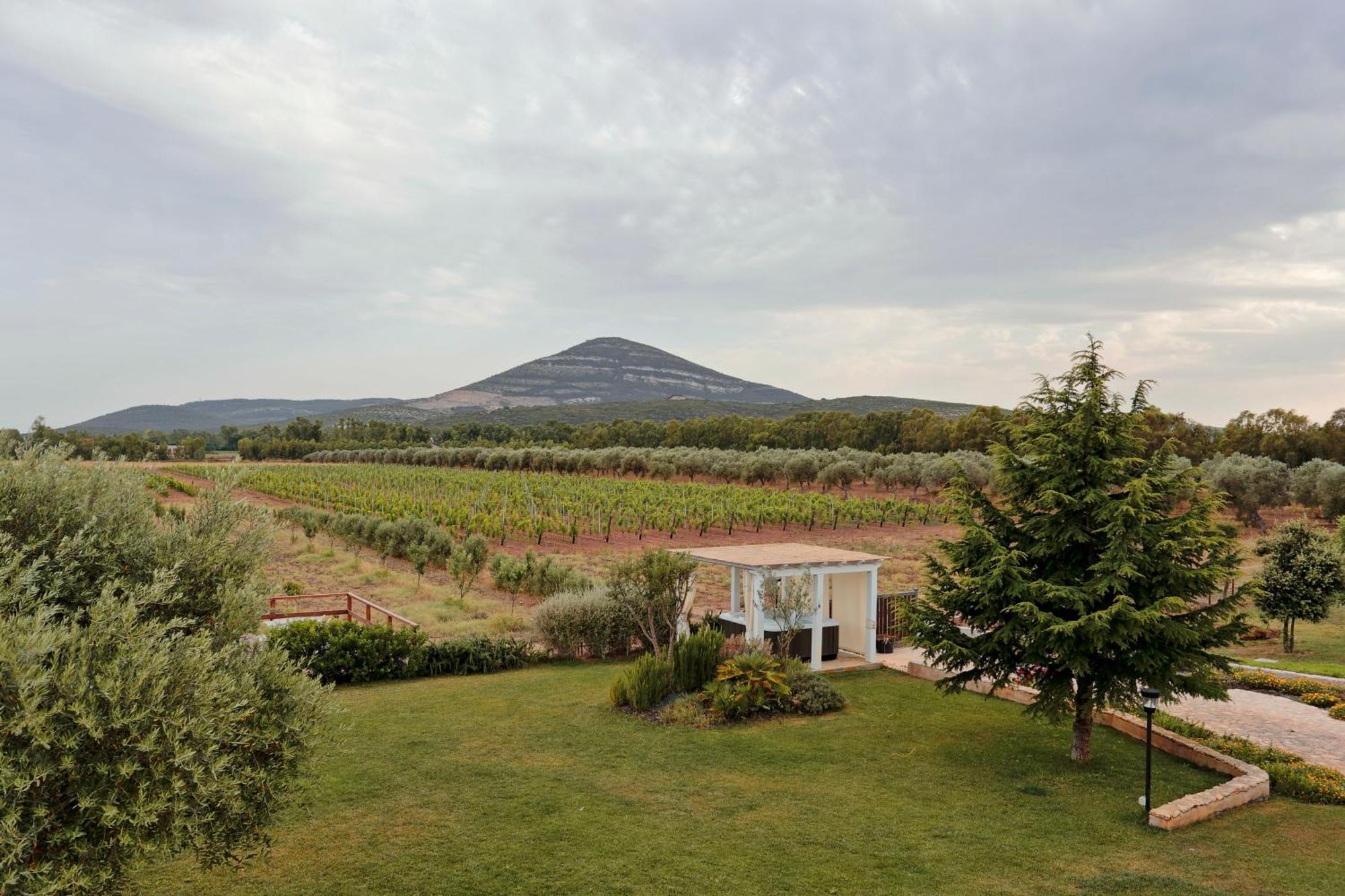 Agriturismo Casale Degli Ulivi Alghero Santa Maria la Palma Ngoại thất bức ảnh